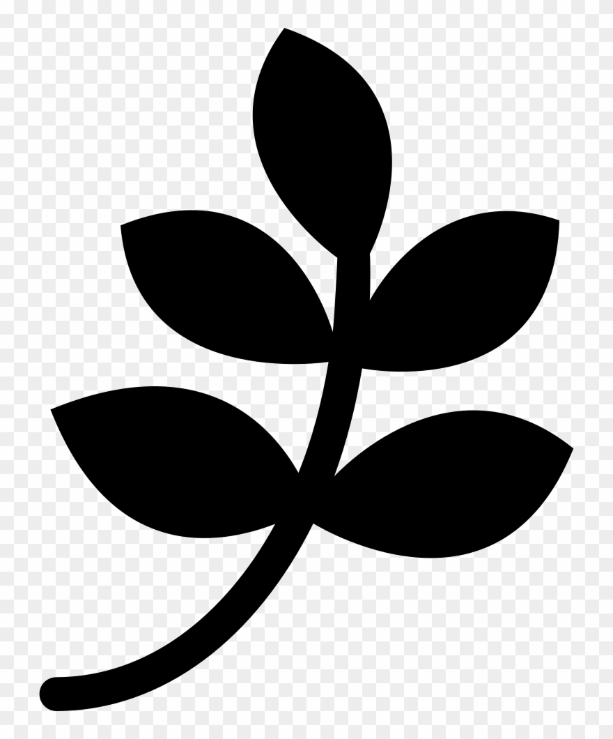 Png File Svg - Rama De Hojas Dibujo Clipart