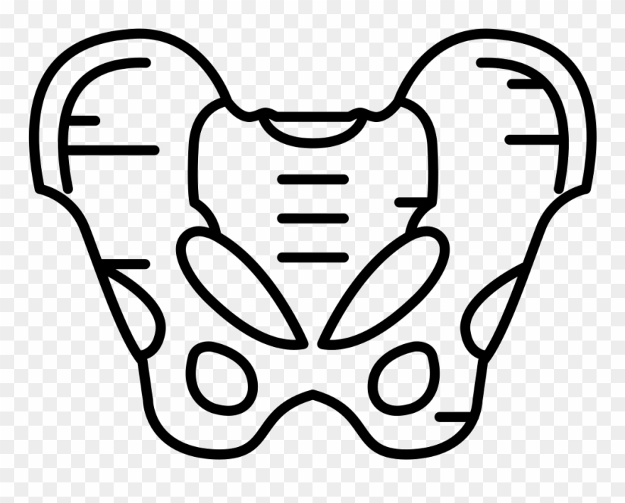 Png File Svg - Line Art Clipart