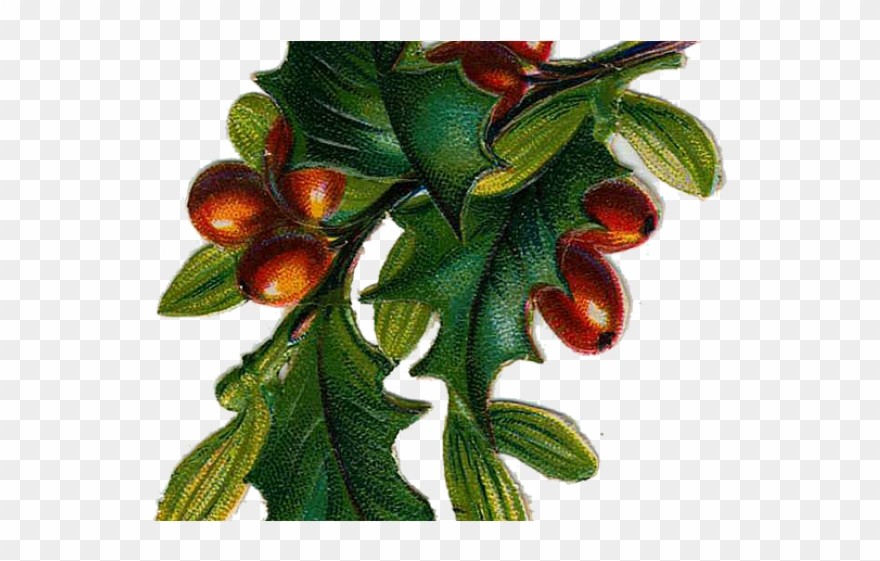 Holley Clipart Victorian - Christmas Vintage Clip Art - Png Download