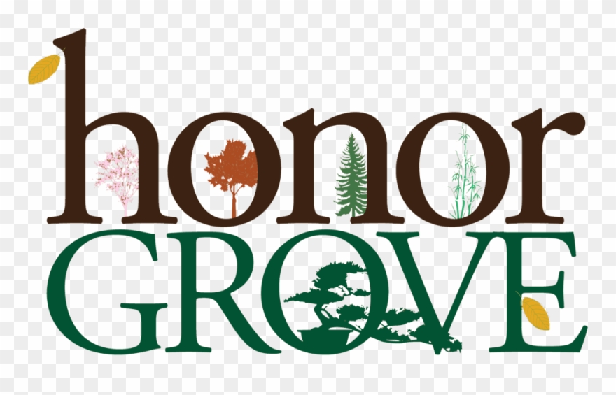 Positive Change For People & Places - Ifaw Clipart