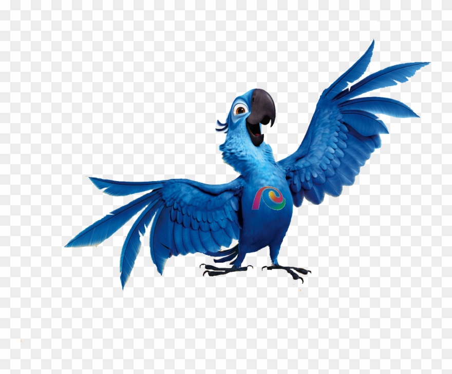 Rio Png Photos - Rio Bird Png Clipart