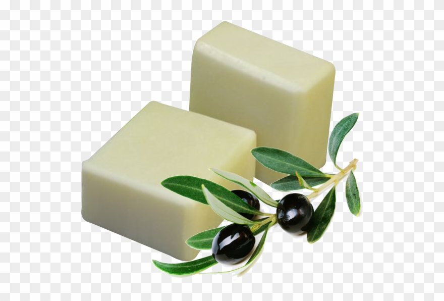 Soap Png - Extend The Olive Branch Clipart