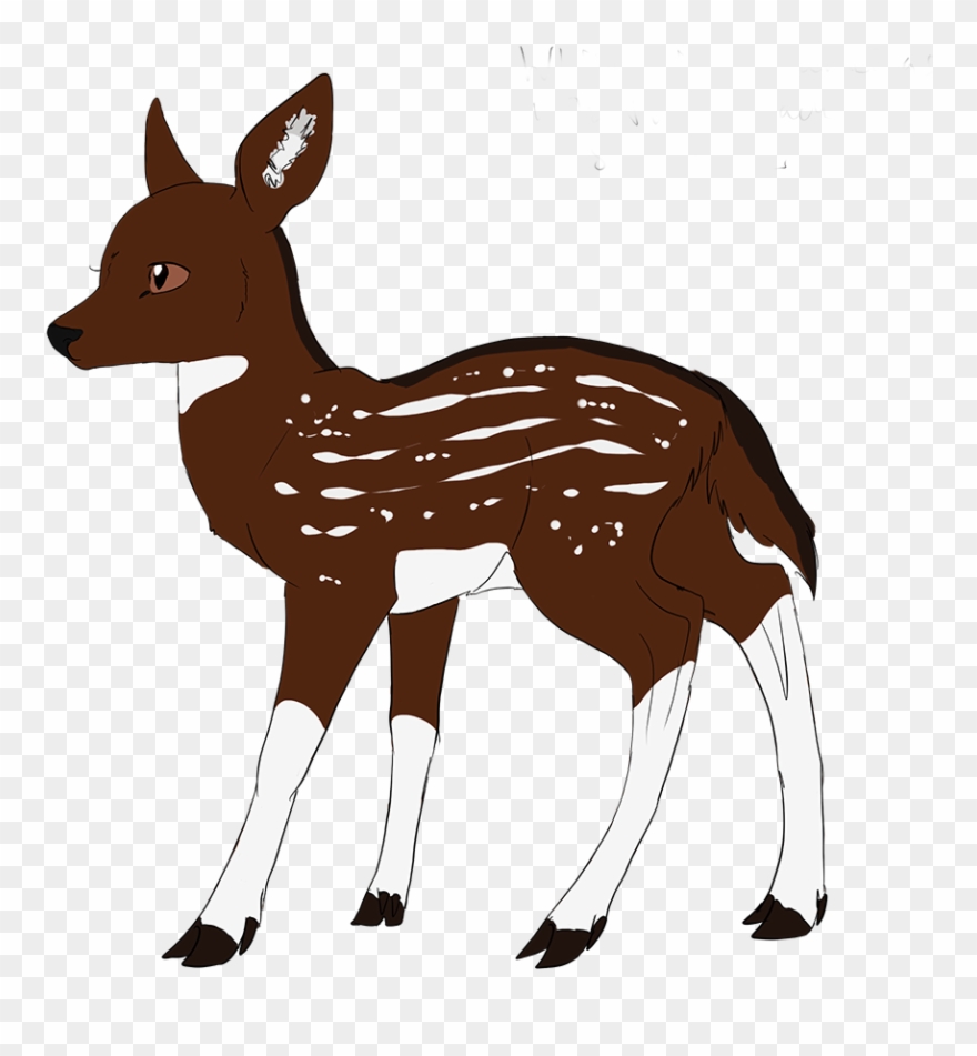 Innocence - Roe Deer Clipart