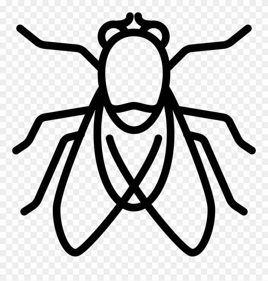 Png File Svg - Draw A Fly Clipart