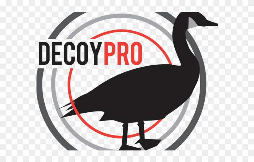 Goose Clipart Goose Hunting - Waterfowl Hunting - Png Download