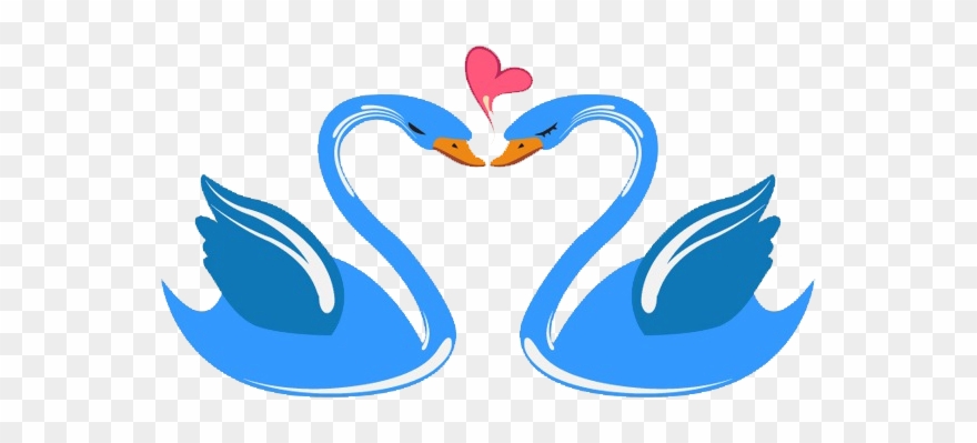 Heart Clipart Swan - Swan Cartoon Clipart Png Transparent Png