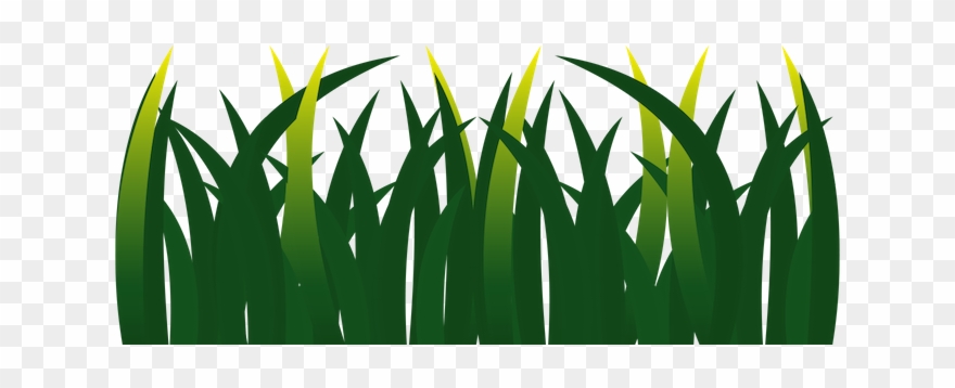 Grass Clipart