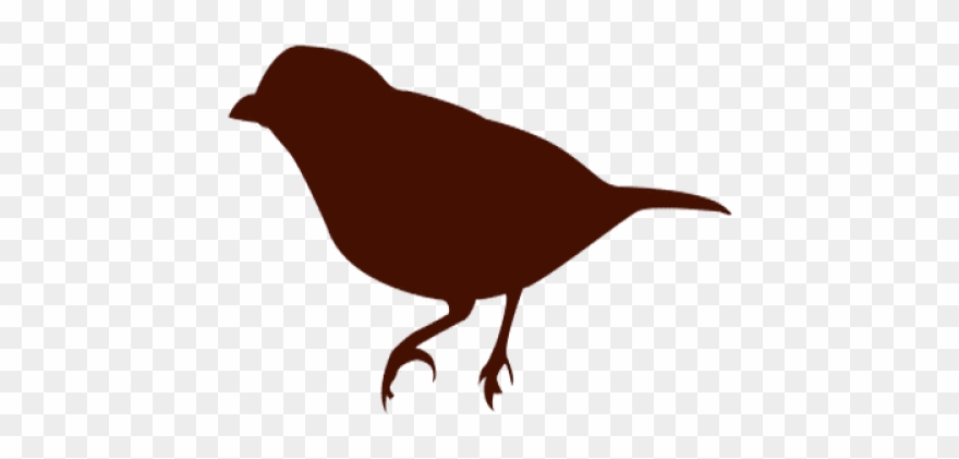 Brown Bear Clipart Finch Bird - Finch - Png Download