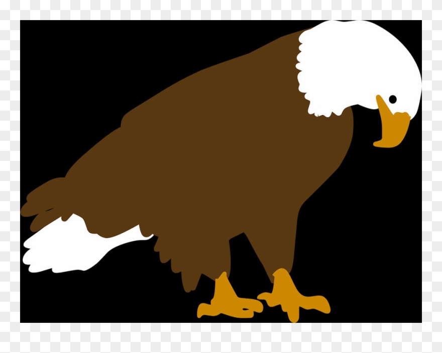 2 - Bald Eagle Clipart