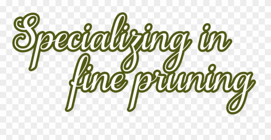 Specializing In Fine Pruning - Calligraphy Clipart