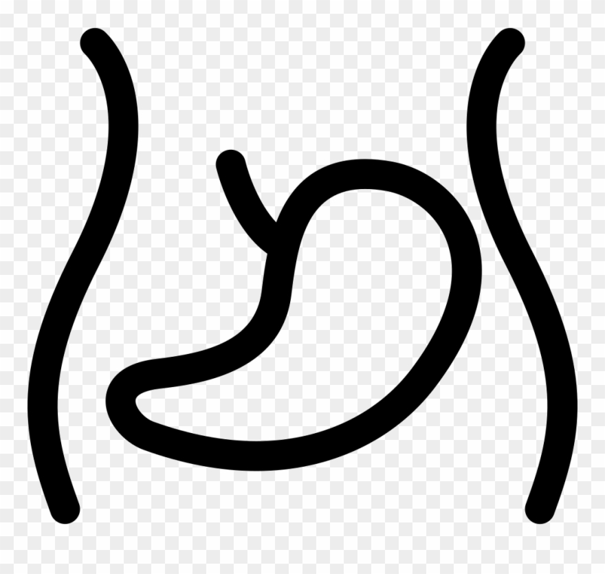 Png File Svg - Abdomen Icon Clipart