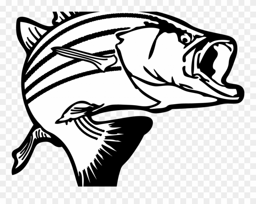 Download Clip Art Fish - Largemouth Bass Clipart Png Transparent Png