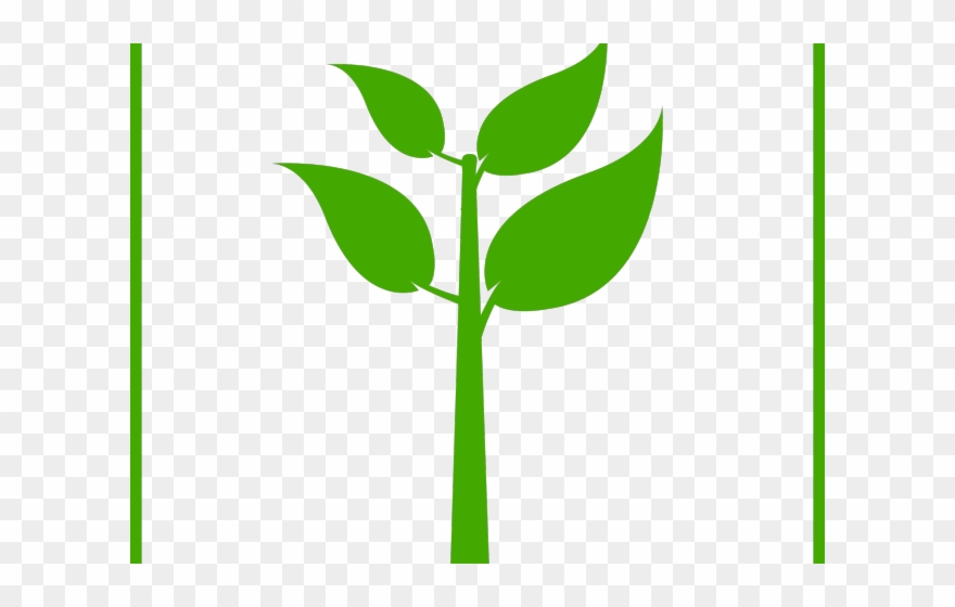 Stem Clipart Banana Stalk - Green Plant Icon Png Transparent Png