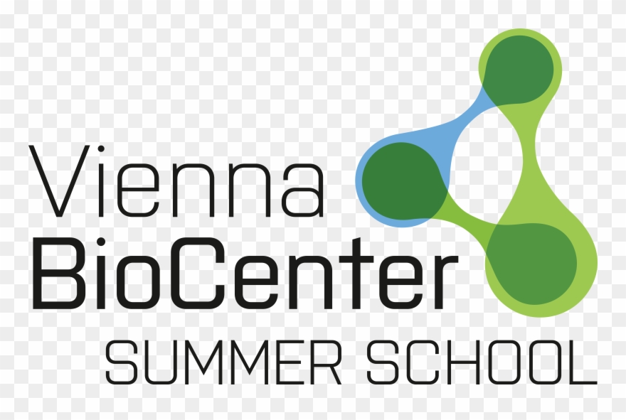 Logo Vienna Biocenter Summer School Vbc Summer School - Graphic Design Clipart