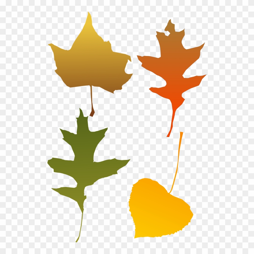 Clip Art - Autumn Leaf Clip Art - Png Download