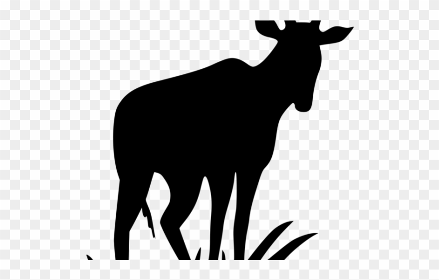 Deer Clipart Antelope - Antelope - Png Download