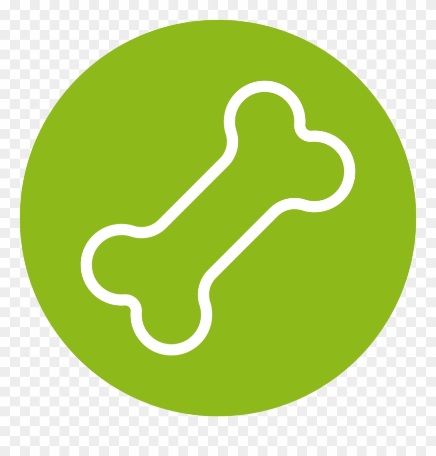 Bone Clipart