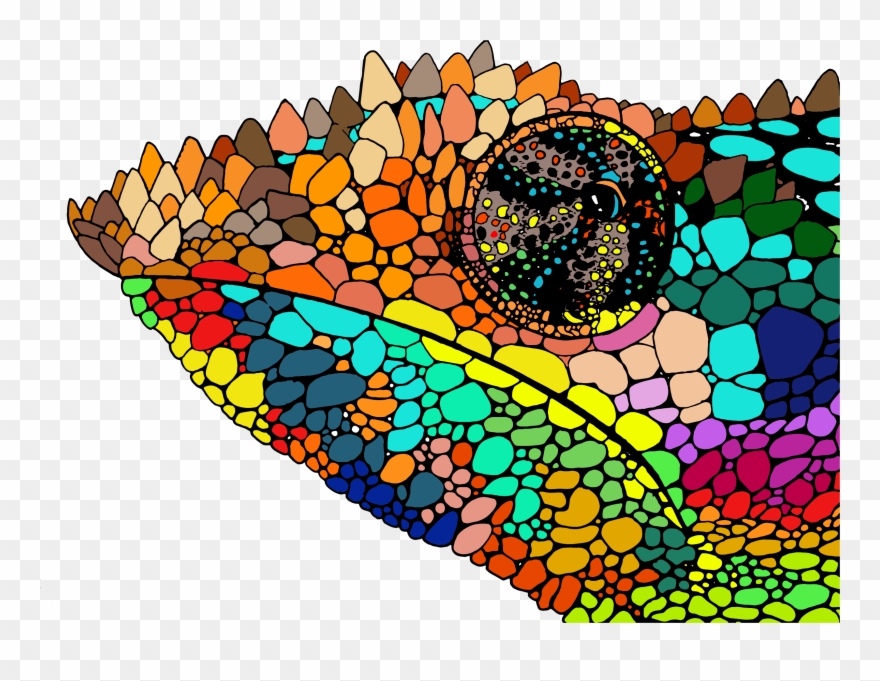 Mr Leon - Circle Clipart