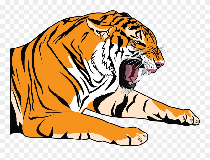 Tiger Clipart Transparent - Dibujos Para Dibujar De El Tigre - Png Download