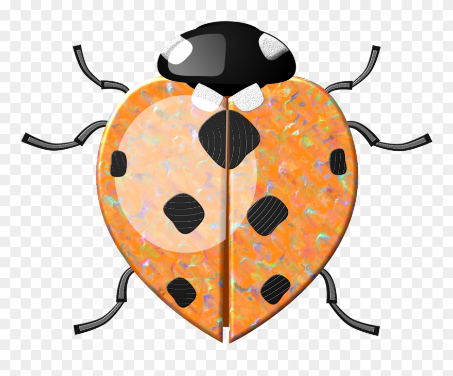 Clipart, Snug, Bee, Butterflies, Ladybugs, - Ladybird - Png Download