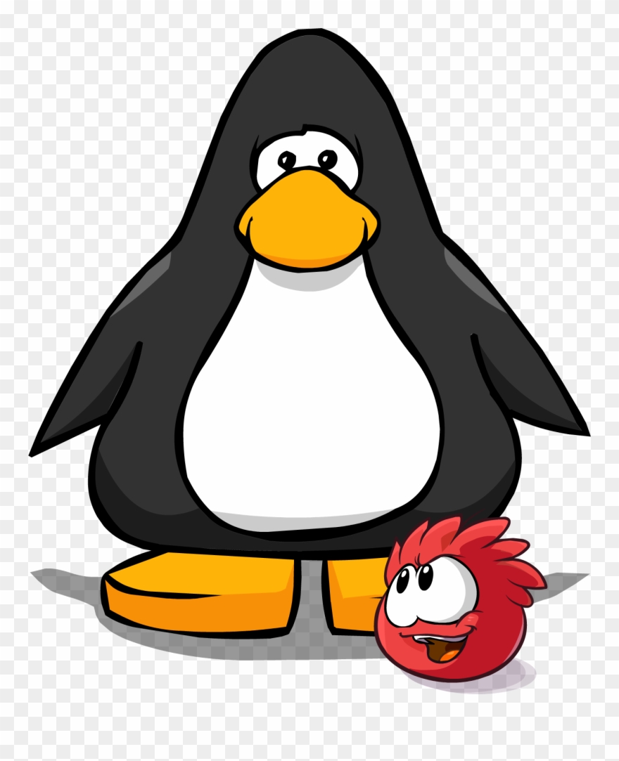Penguin From Club Penguin Clipart