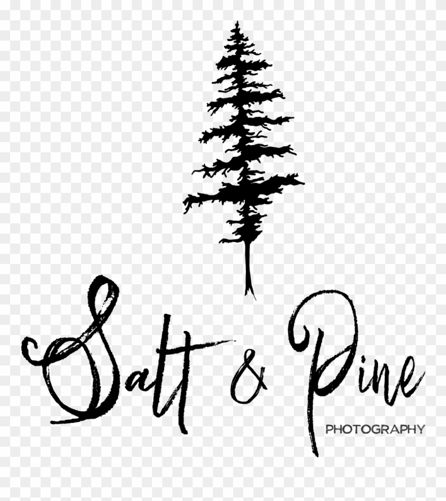 1038 X 1304 0 - Calligraphy Clipart