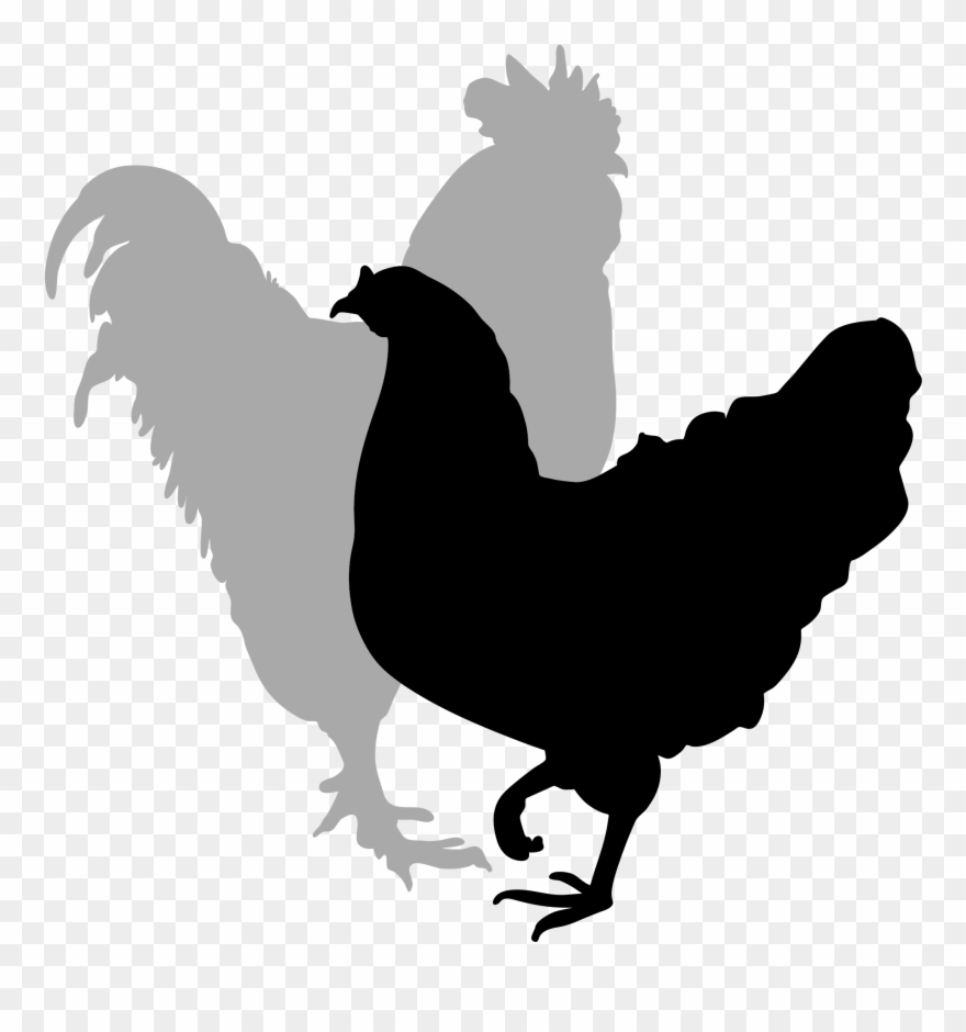 Rooster Silhouette Clip Art - Rooster And Hen Silhouette - Png Download