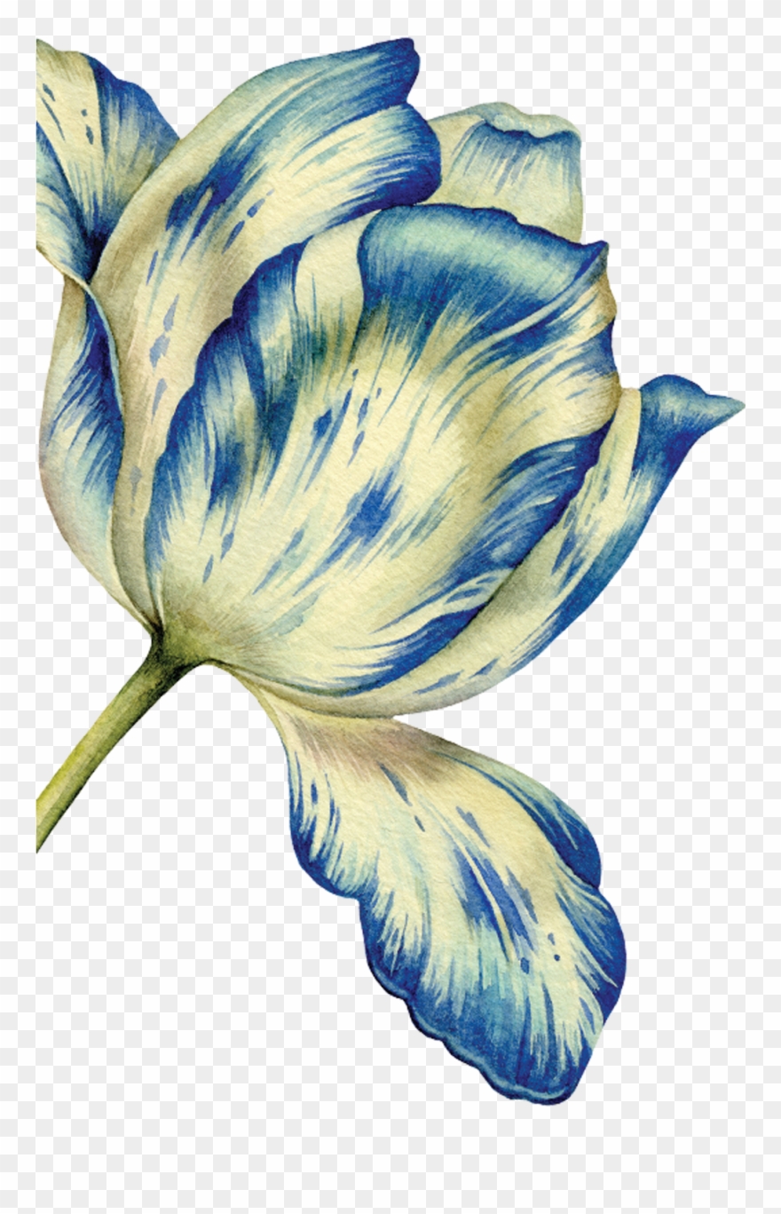 Garden - Illustration Clipart