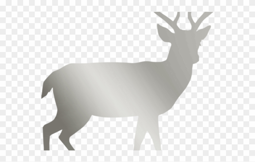 White Tailed Deer Clipart Clear Background - Doe Silhouette Target - Png Download