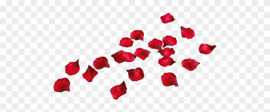 Rose Petals - Rose Petals Png Transparent Clipart