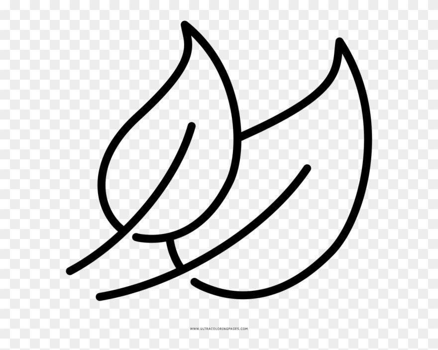 Foglie Disegno Png - Line Art Clipart