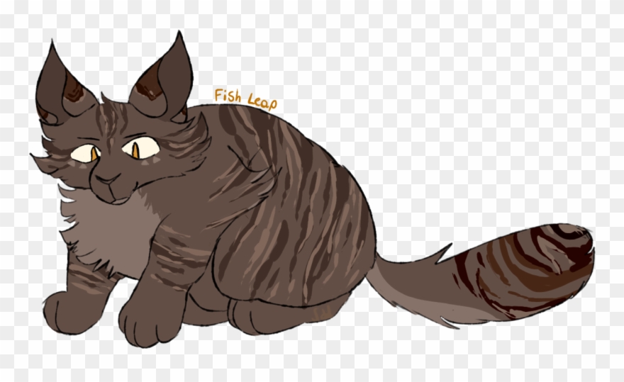 Fish Leap Is A Brown Tabby Tom With Amber Eyes - Maine Coon Clipart
