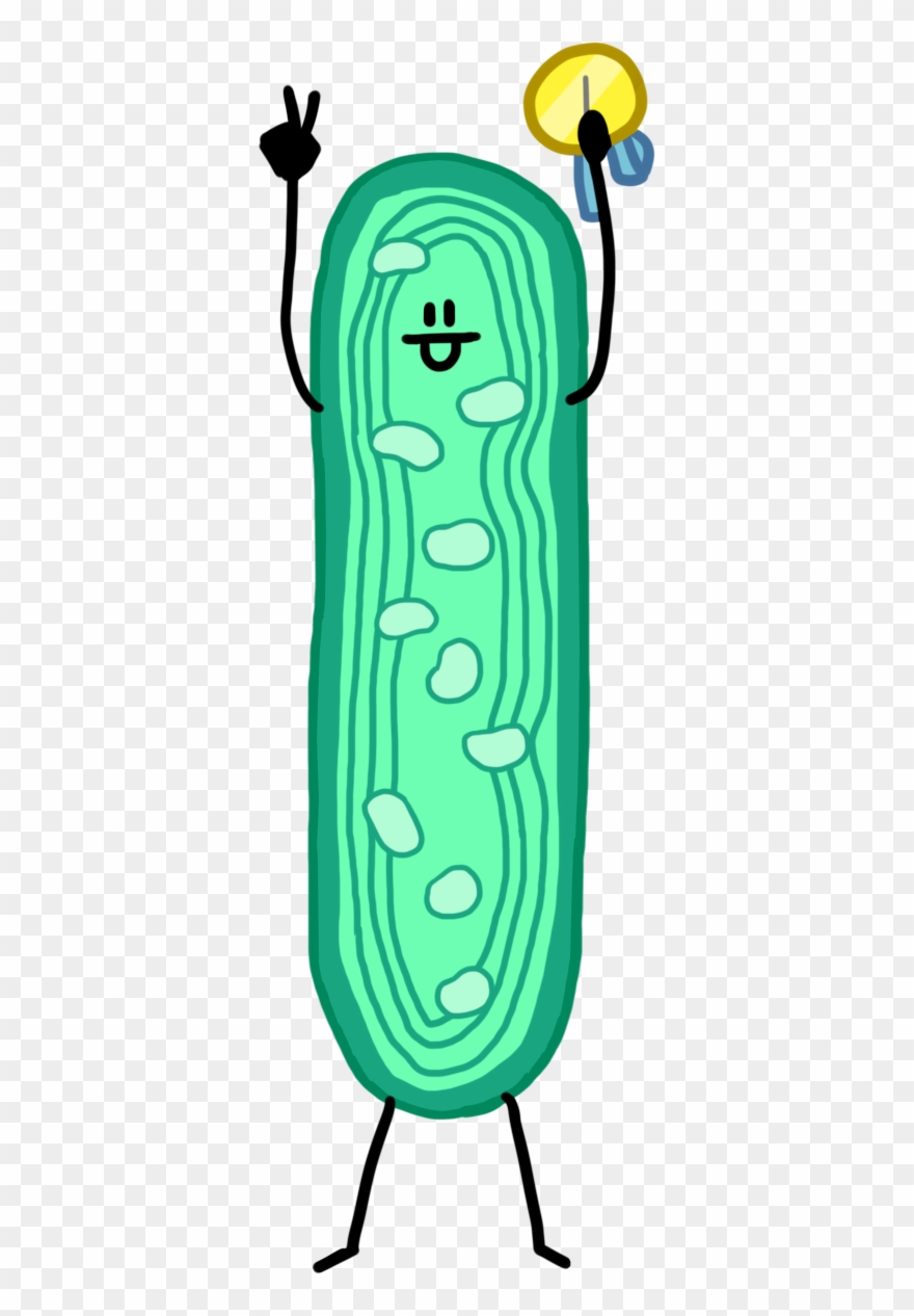 Education And Public Engagement - Illustration Clipart