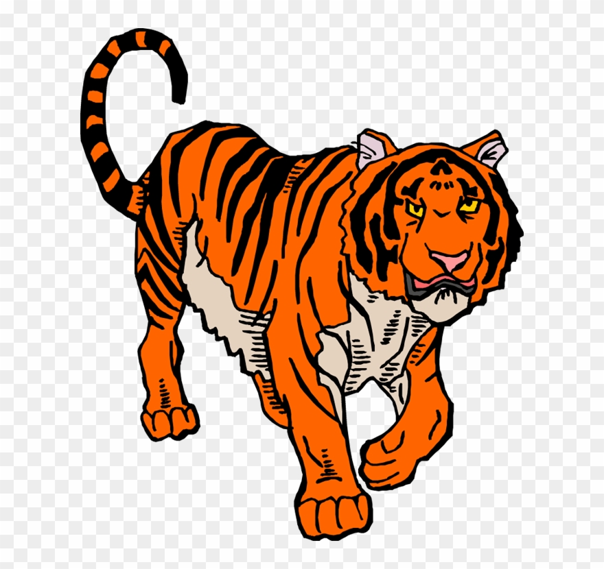Wild Animals Clipart - Clipart Picture Of Wild Animals - Png Download