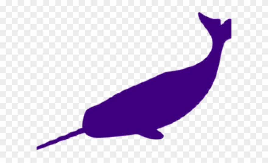 Purple Clipart Whale - Narwhal Stencil - Png Download