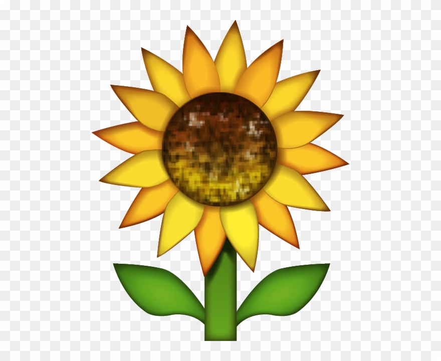 514 X 640 4 0 - Sunflower Iphone Emoji Png Clipart