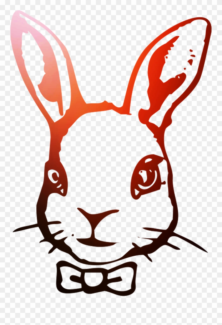 Hare Domestic Illustration Rabbit Easter Bunny Clipart - Domestic Rabbit - Png Download