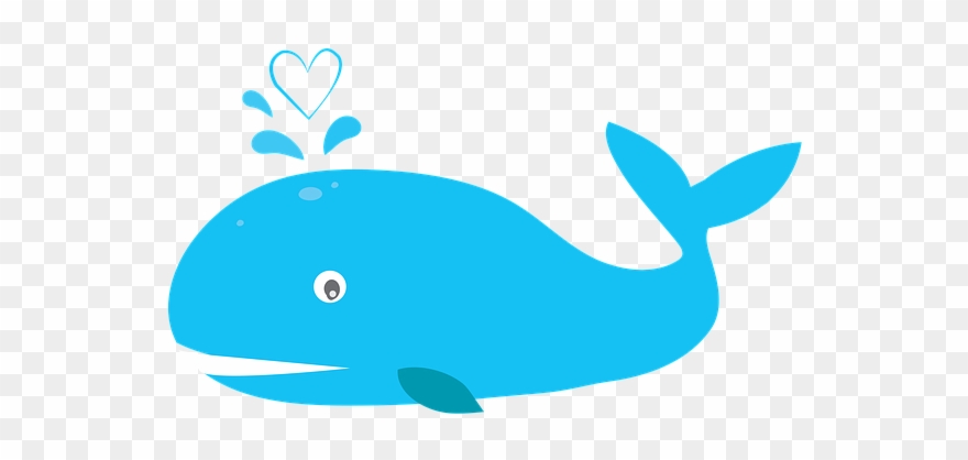 640 X 574 6 - Blue Whale Clipart