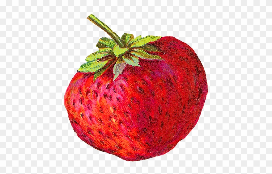 Strawberry Clip Art Download - Strawberry - Png Download