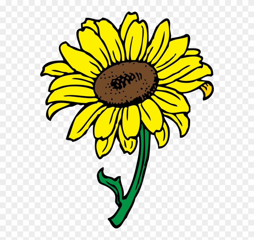 Download Common Sunflower Computer Icons - Sunflower Clipart Transparent Background - Png Download