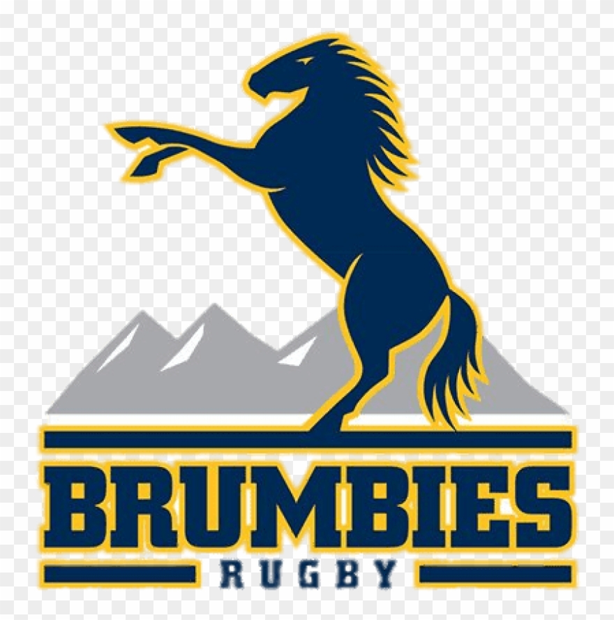 Download Brumbies Rugby Logo Png Images Background - Super Rugby Brumbies Logo Clipart