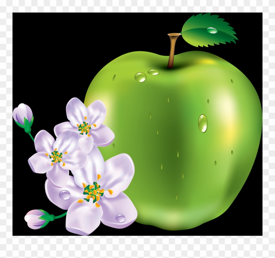 Did You Know - Fruits Vector Clipart