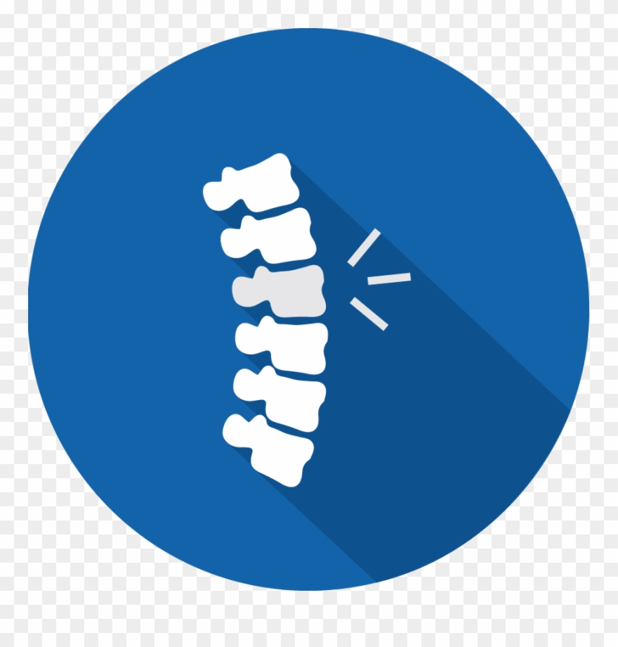 Spinal Cord Png - Spinal Cord Injury Icon Clipart