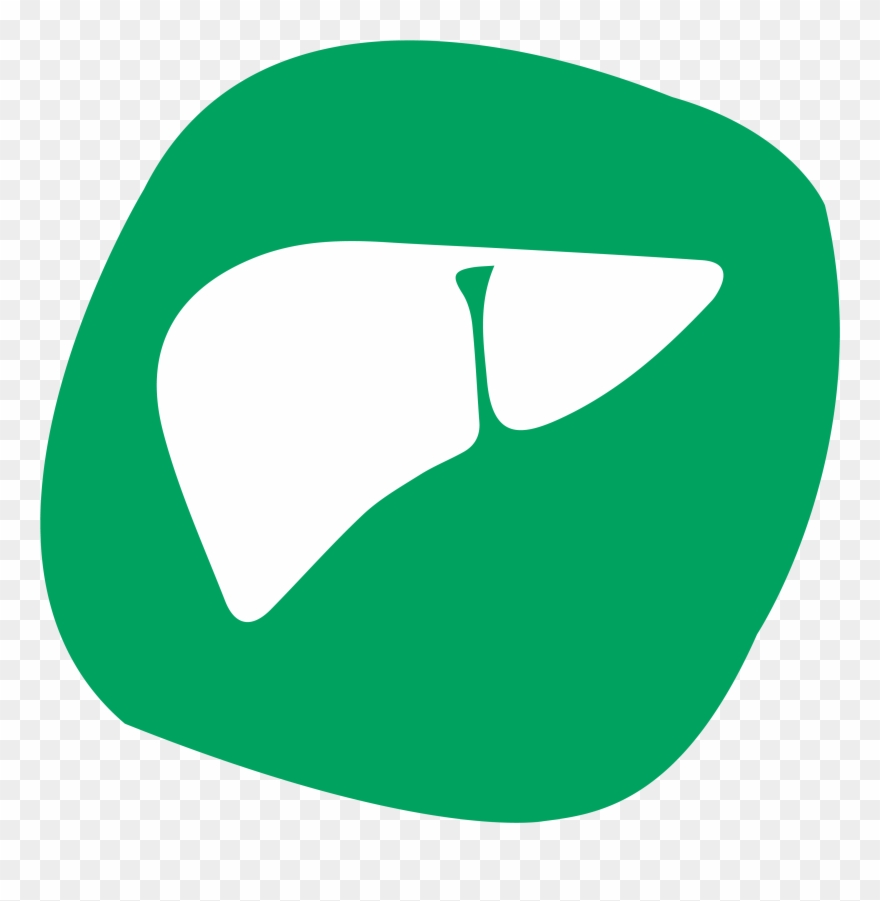 Boosts Liver Health Clipart