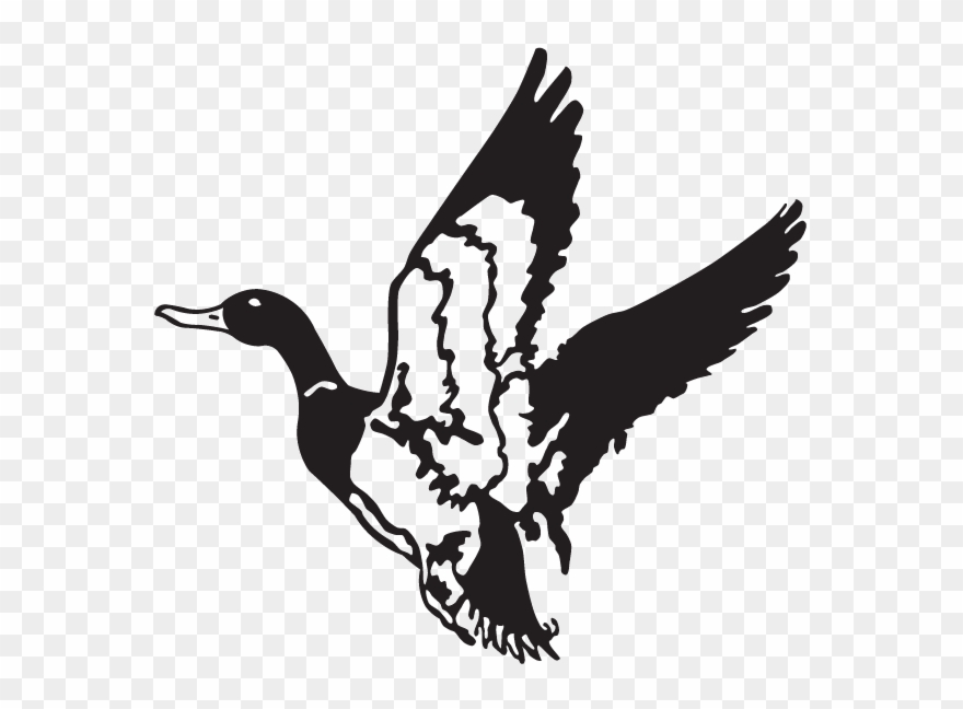Duck Hunt Duck Png - Clip Art Duck Flying Transparent Png