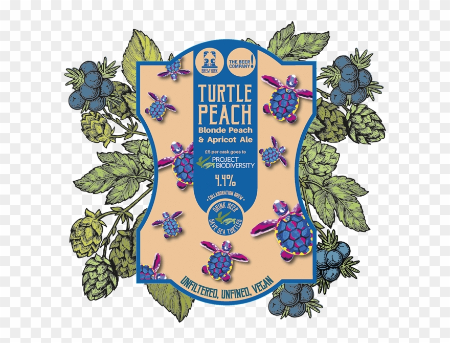 Turtle Peach Clipart