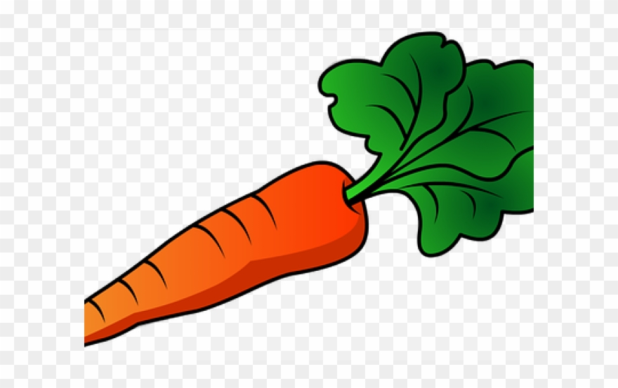 Radish Clipart Vegetable Leave - Transparent Background Carrot Clipart - Png Download