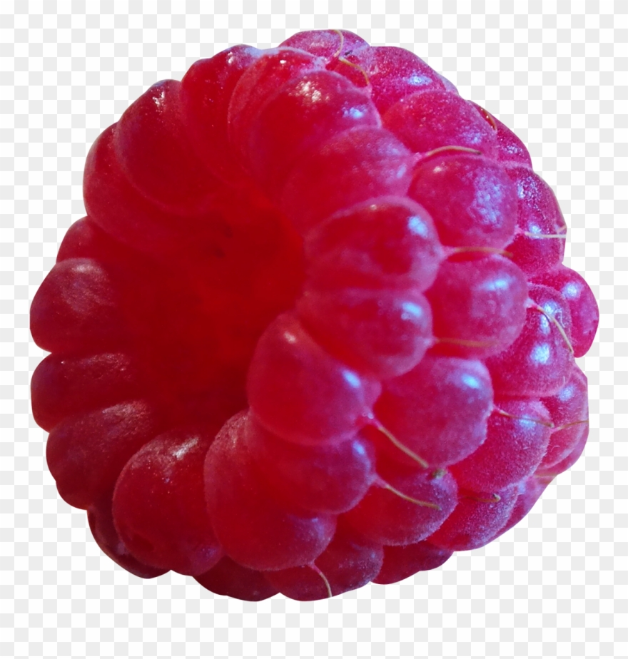 Blackberry Fruit Png Transparent Images - Raspberry .png Clipart
