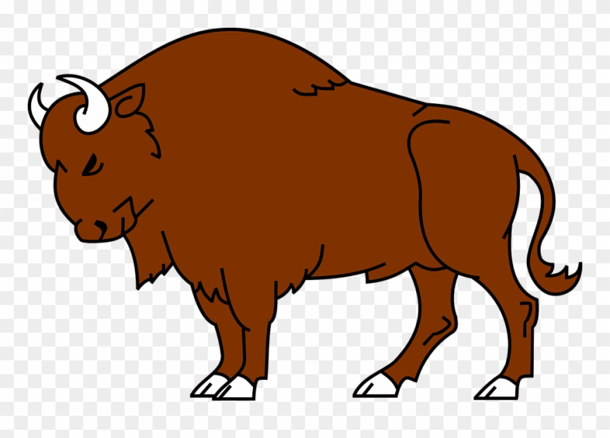 Clip Art Royalty Free Library Bison Clipart Simple - Bison Clipart - Png Download