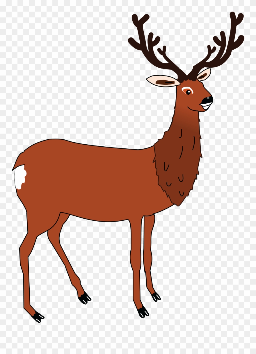 Free Clipart Of A Buck Deer - Best Gift - Antler 34567 Jr Raglan Hoodie/t-shirt/mug - Png Download